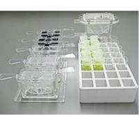 Комплект чашек SV-58 (10 шт), SV-59 (10 шт), SV-33 (5 шт), SV-56 (5шт), SV-37 (1 шт) AX-SV-55